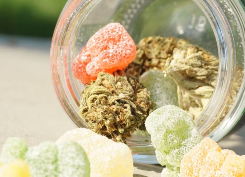 Delta-9 Gummies: how they compare to smoked Marijuana