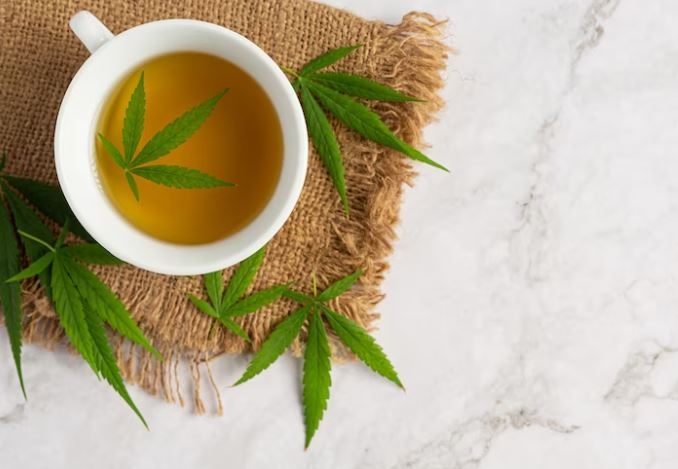 What does research say about the health benefits of Cannabis tea