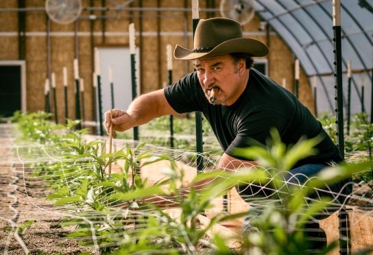 Jim Belushi's high stakes battle for his Cannabis farm