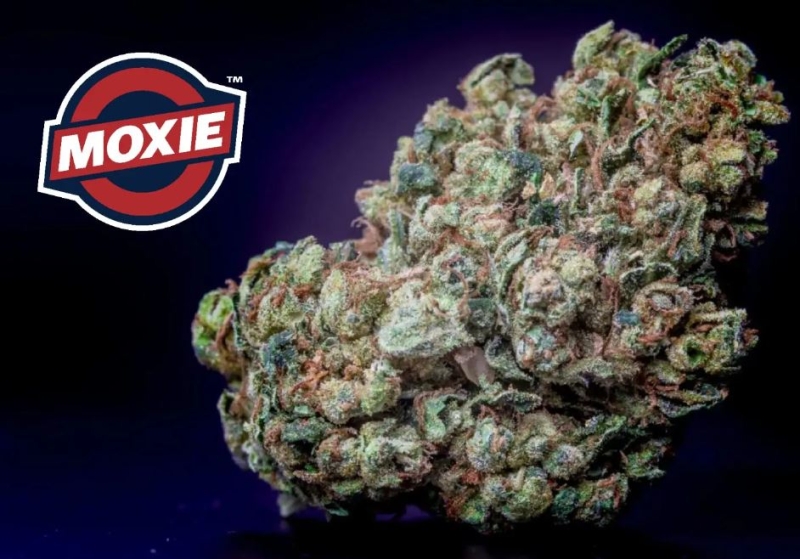 Moxie launches in Ohio