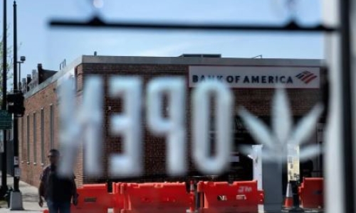 Real Estate Veteran aims to assist minorities and women in Cannabis Sector