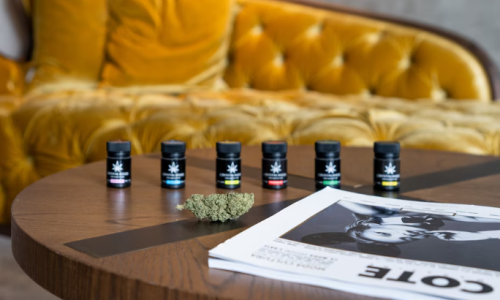 New York’s Cannabis regulators know out-of-state brands are breaking the rules